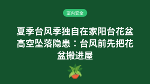 夏季台风季独自在家阳台花盆高空坠落隐患:台风前先把花盆搬进屋室内安全